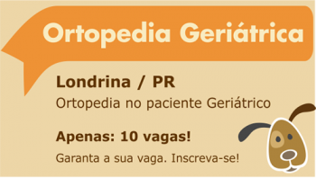 Ortopedia Veterinária no paciente geriátrico