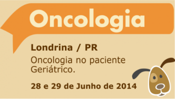 Oncologia veterinária no paciente geriátrico