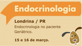 Endocrinologia Veterinária em pacientes geriátricos