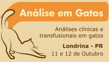 Análises clínicas e transfusionais em felinos